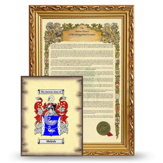 Melesh Framed History and Coat of Arms Print - Gold