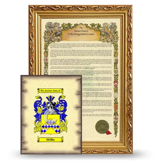 Mellin Framed History and Coat of Arms Print - Gold