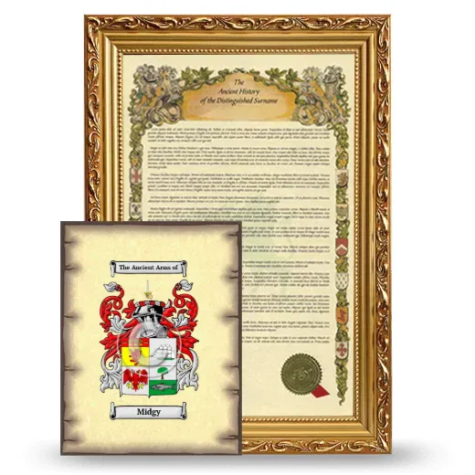 Midgy Framed History and Coat of Arms Print - Gold