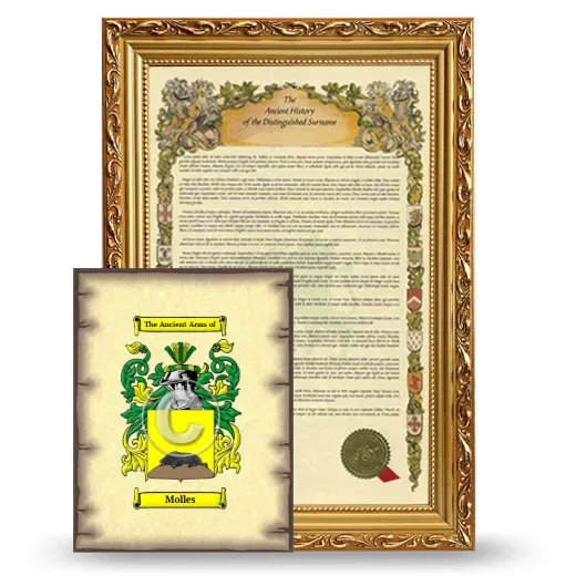 Molles Framed History and Coat of Arms Print - Gold