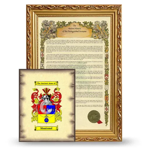 Montrond Framed History and Coat of Arms Print - Gold