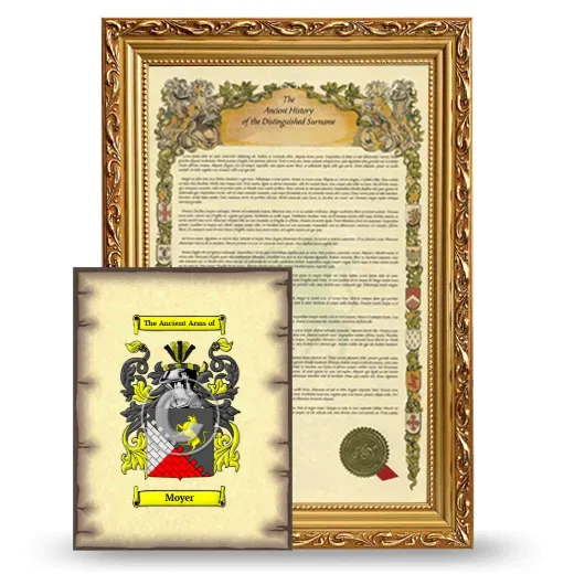 Moyer Framed History and Coat of Arms Print - Gold