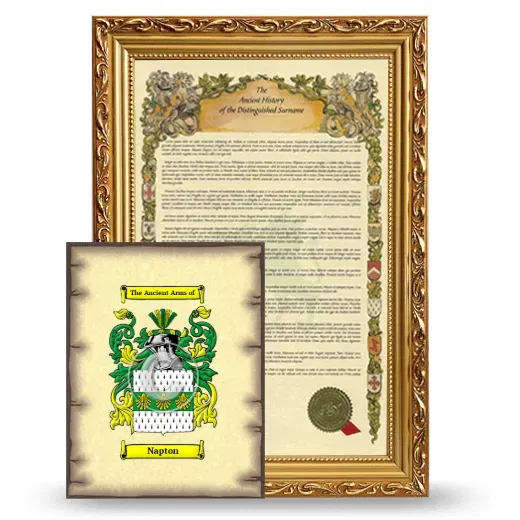 Napton Framed History and Coat of Arms Print - Gold