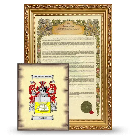 Naudet Framed History and Coat of Arms Print - Gold