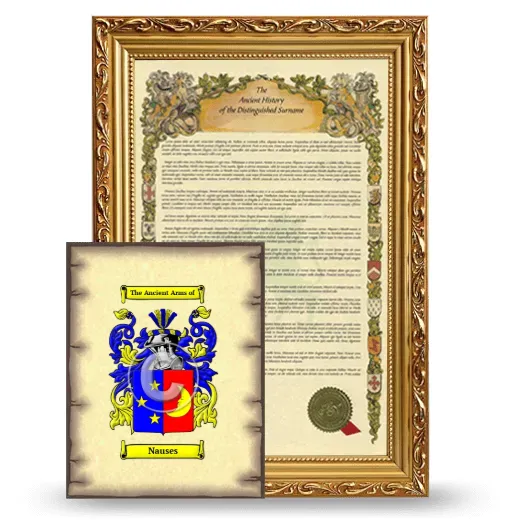 Nauses Framed History and Coat of Arms Print - Gold