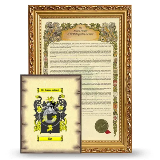 Net Framed History and Coat of Arms Print - Gold