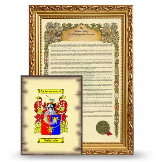 Nethersole Framed History and Coat of Arms Print - Gold