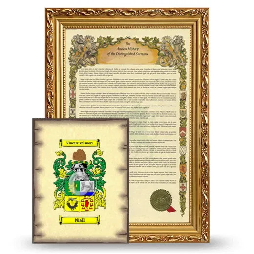 Niall Framed History and Coat of Arms Print - Gold