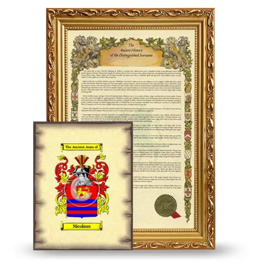 Nicolaus Framed History and Coat of Arms Print - Gold