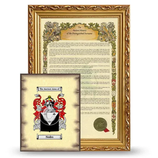 Nodes Framed History and Coat of Arms Print - Gold