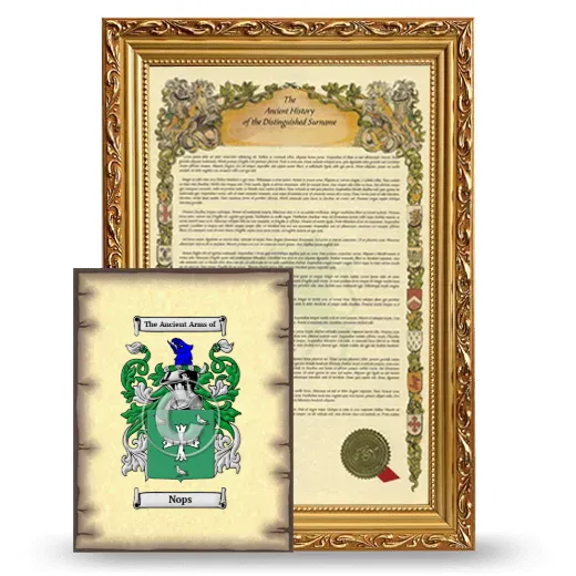 Nops Framed History and Coat of Arms Print - Gold