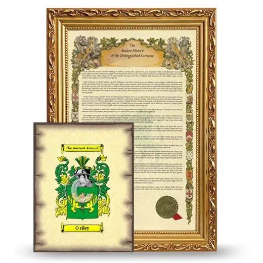 O riley Framed History and Coat of Arms Print - Gold