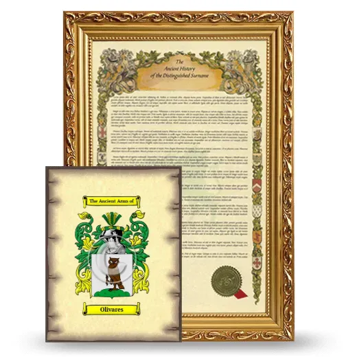 Olivares Framed History and Coat of Arms Print - Gold