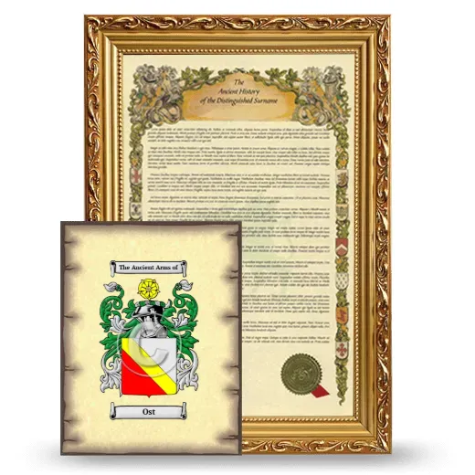 Ost Framed History and Coat of Arms Print - Gold