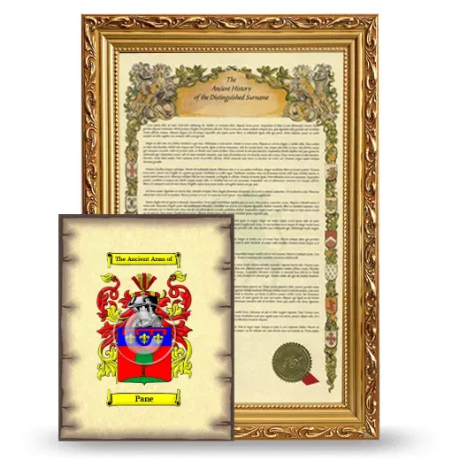 Pane Framed History and Coat of Arms Print - Gold