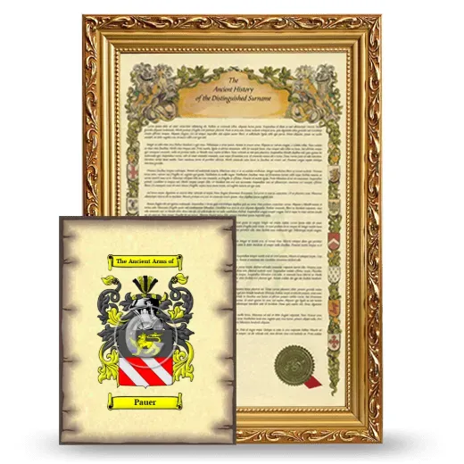 Pauer Framed History and Coat of Arms Print - Gold