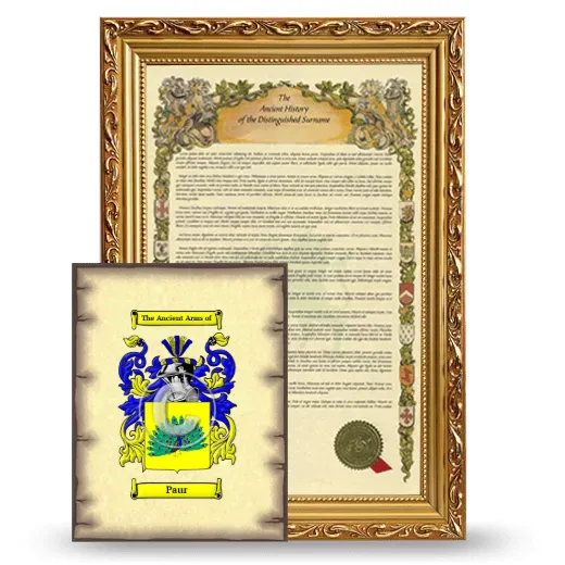 Paur Framed History and Coat of Arms Print - Gold