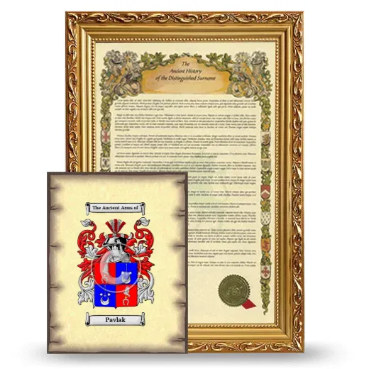 Pavlak Framed History and Coat of Arms Print - Gold