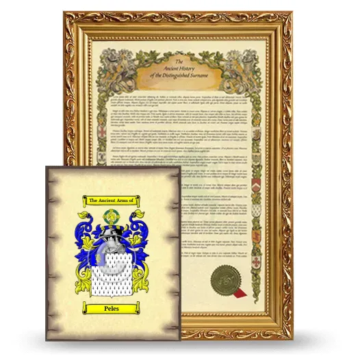 Peles Framed History and Coat of Arms Print - Gold