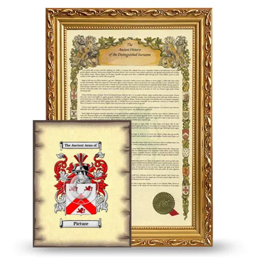 Picture Framed History and Coat of Arms Print - Gold