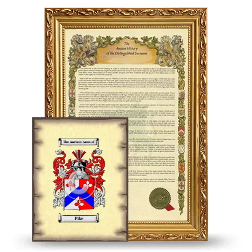 Pike Framed History and Coat of Arms Print - Gold