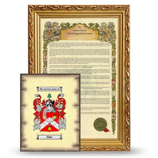 Pine Framed History and Coat of Arms Print - Gold