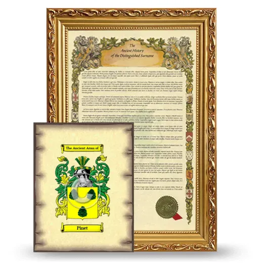 Pinet Framed History and Coat of Arms Print - Gold