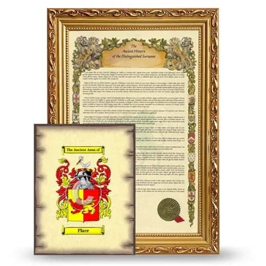 Place Framed History and Coat of Arms Print - Gold
