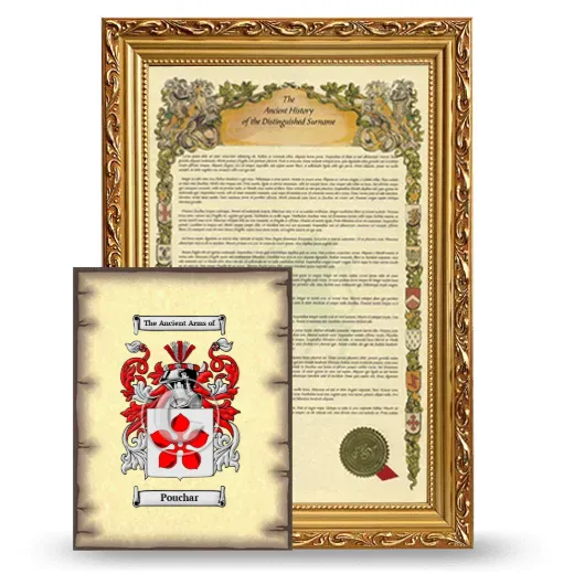 Pouchar Framed History and Coat of Arms Print - Gold
