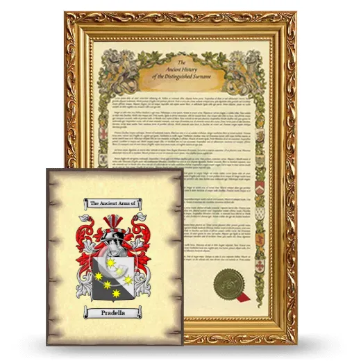 Pradella Framed History and Coat of Arms Print - Gold