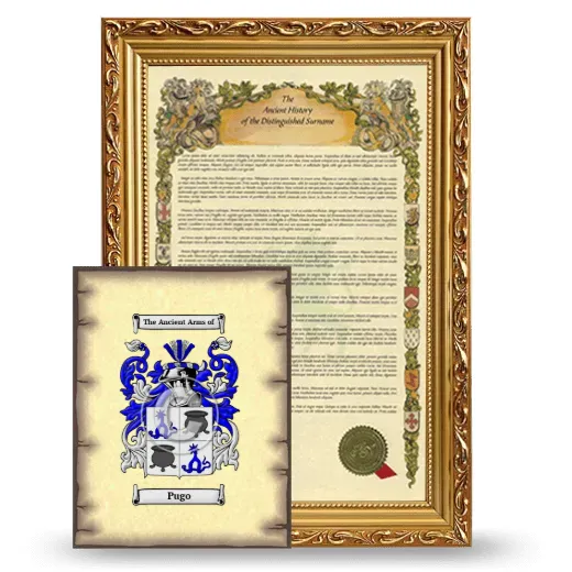 Pugo Framed History and Coat of Arms Print - Gold