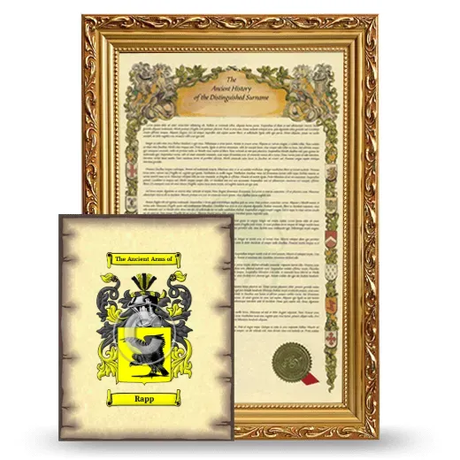 Rapp Framed History and Coat of Arms Print - Gold