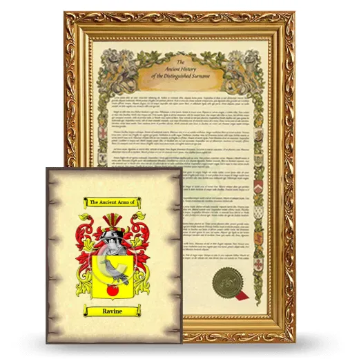 Ravine Framed History and Coat of Arms Print - Gold