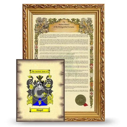 Ringel Framed History and Coat of Arms Print - Gold