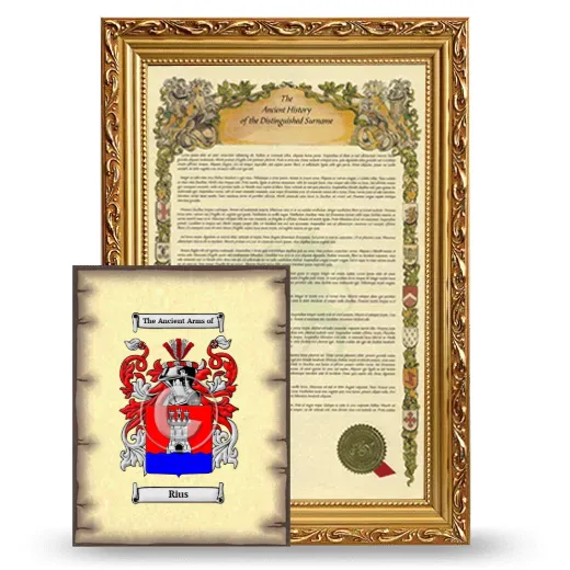 Rius Framed History and Coat of Arms Print - Gold
