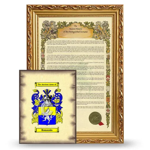 Romanin Framed History and Coat of Arms Print - Gold