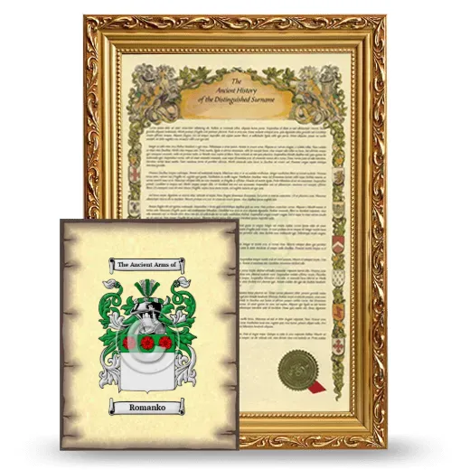 Romanko Framed History and Coat of Arms Print - Gold
