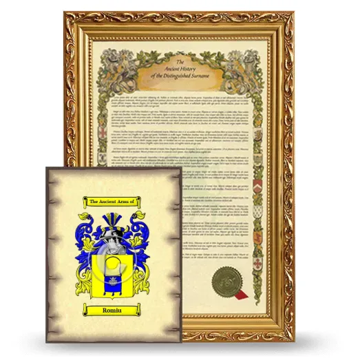 Romiu Framed History and Coat of Arms Print - Gold
