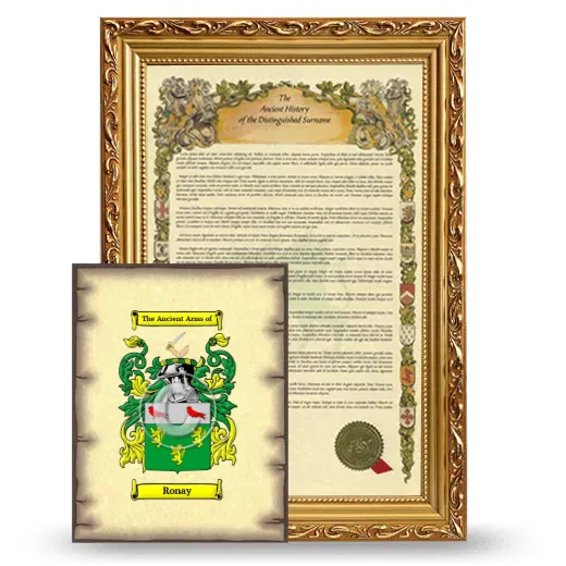 Ronay Framed History and Coat of Arms Print - Gold