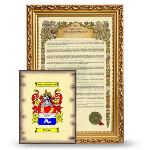 Sénior Framed History and Coat of Arms Print - Gold