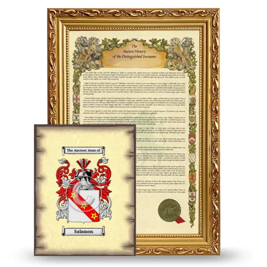Salamon Framed History and Coat of Arms Print - Gold
