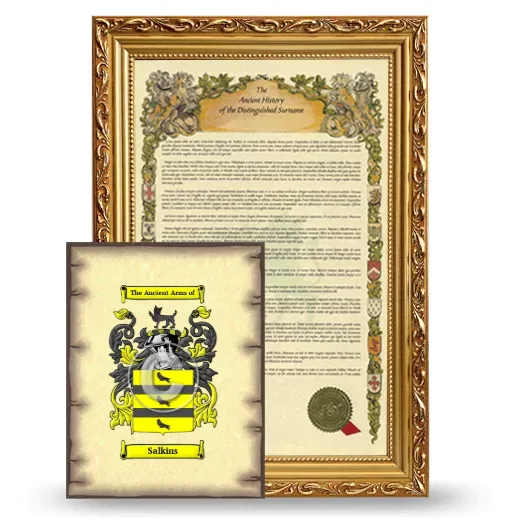 Salkins Framed History and Coat of Arms Print - Gold