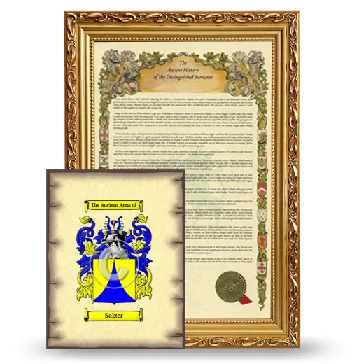 Salzer Framed History and Coat of Arms Print - Gold