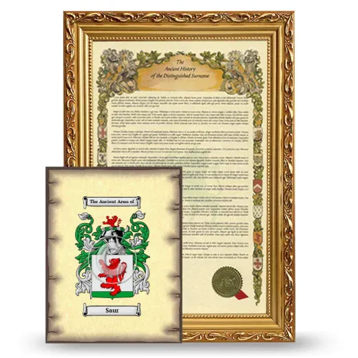 Saur Framed History and Coat of Arms Print - Gold
