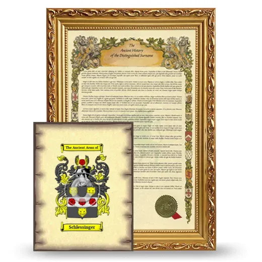 Schlessinger Framed History and Coat of Arms Print - Gold