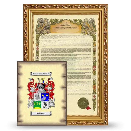 Selhorst Framed History and Coat of Arms Print - Gold