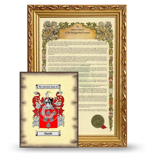 Shayle Framed History and Coat of Arms Print - Gold