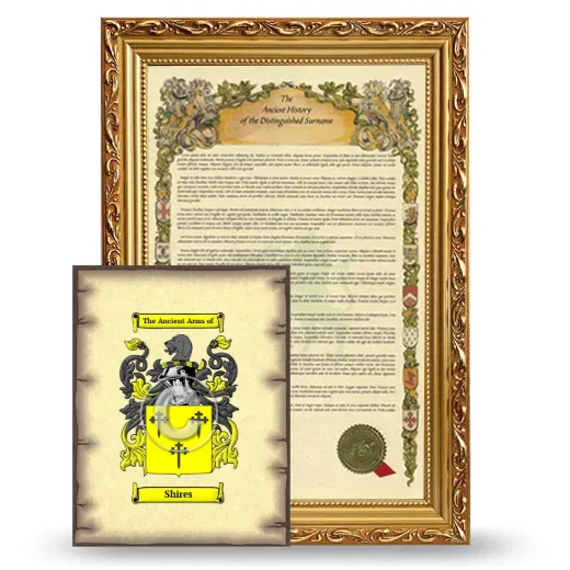 Shires Framed History and Coat of Arms Print - Gold