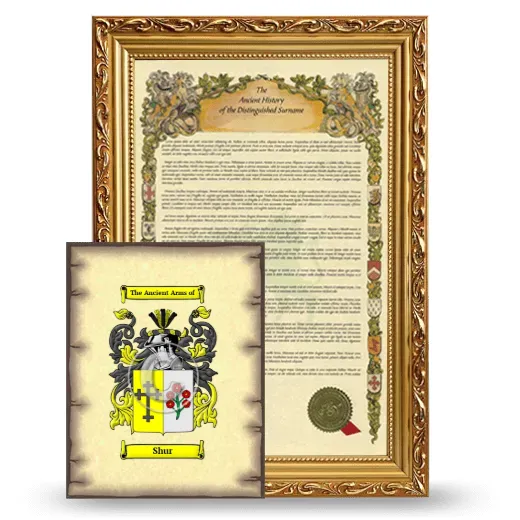 Shur Framed History and Coat of Arms Print - Gold