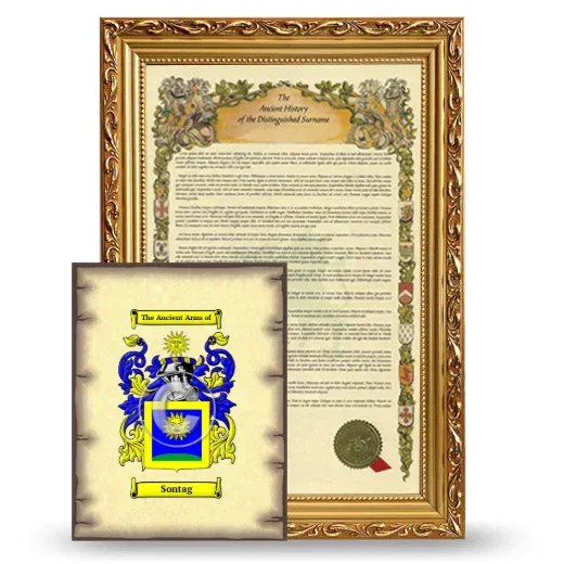 Sontag Framed History and Coat of Arms Print - Gold